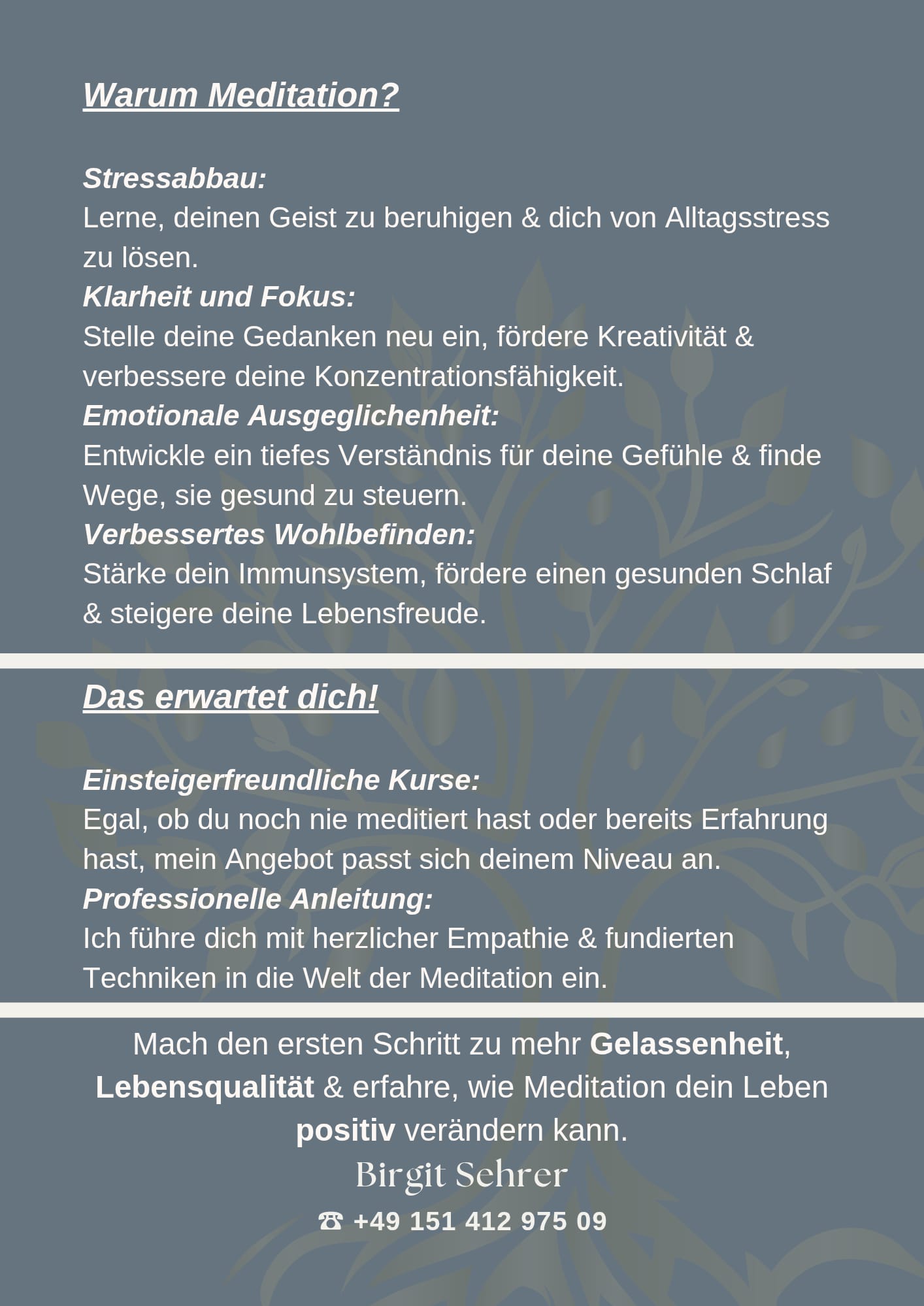 Reiki & mehr Meditations Kurs 2:2